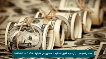 سعر الدولار.. يتراجع مقابل الجنيه المصري في البنوك الثلاثاء 23-9-2025